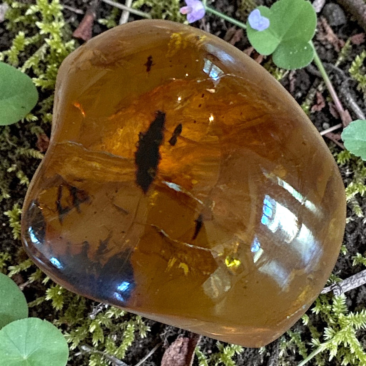 Amber Freeform - Simojovel, Chiapas, Mx, 20.5g