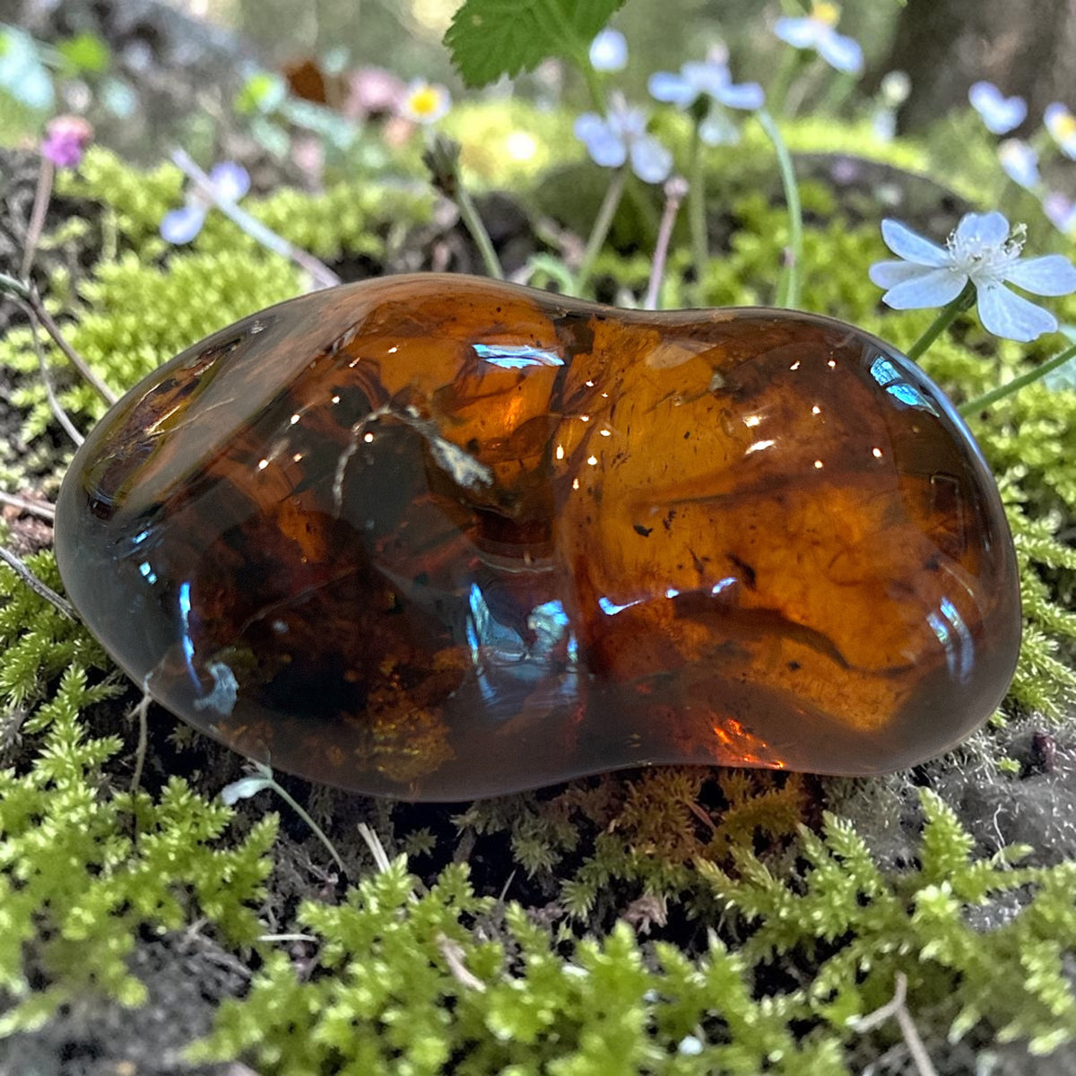 Amber Freeform - Simojovel, Chiapas, Mx, 34g