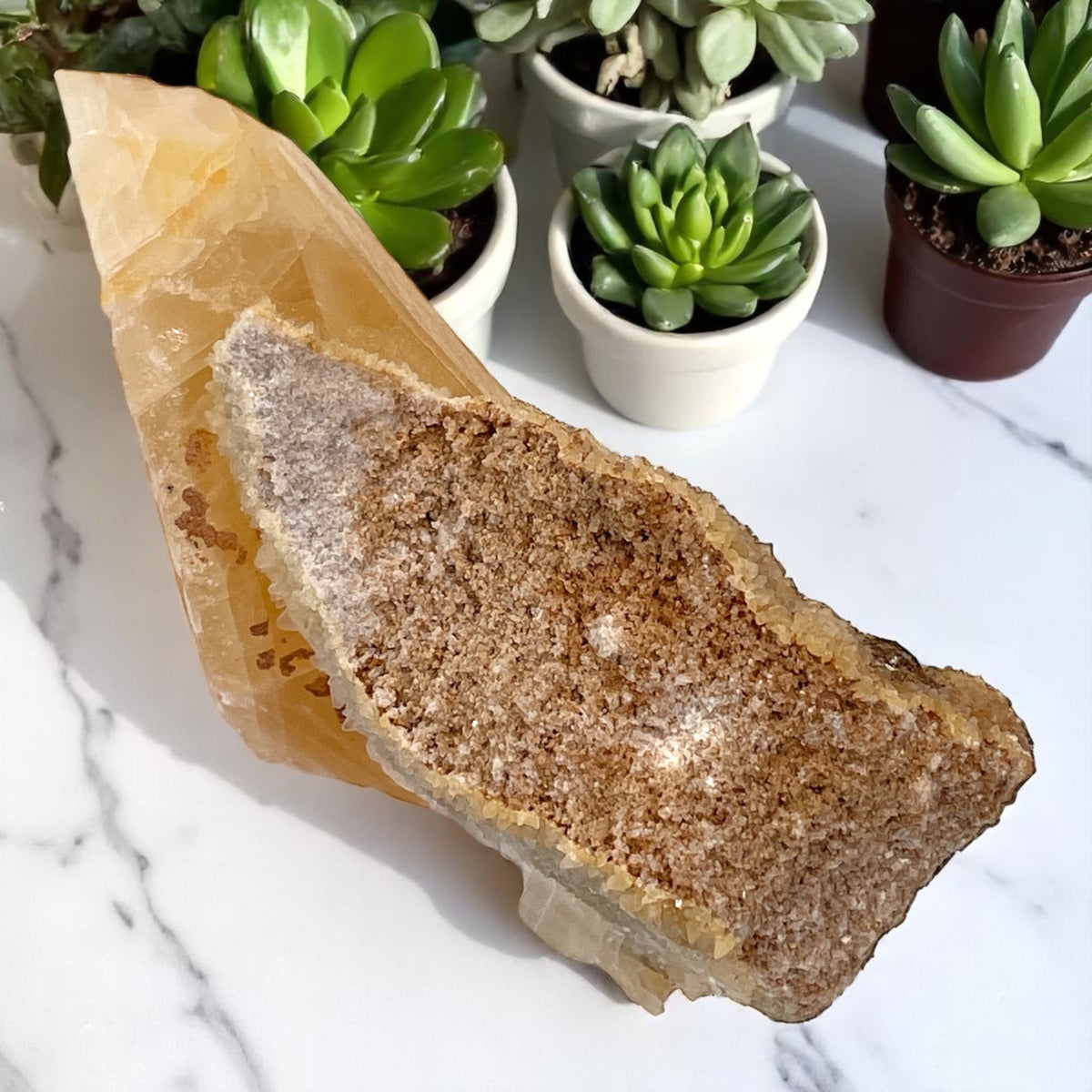 Dogtooth (Stellar Beam) Calcite Crystal Specimen - Gallatin County, MT, 369g