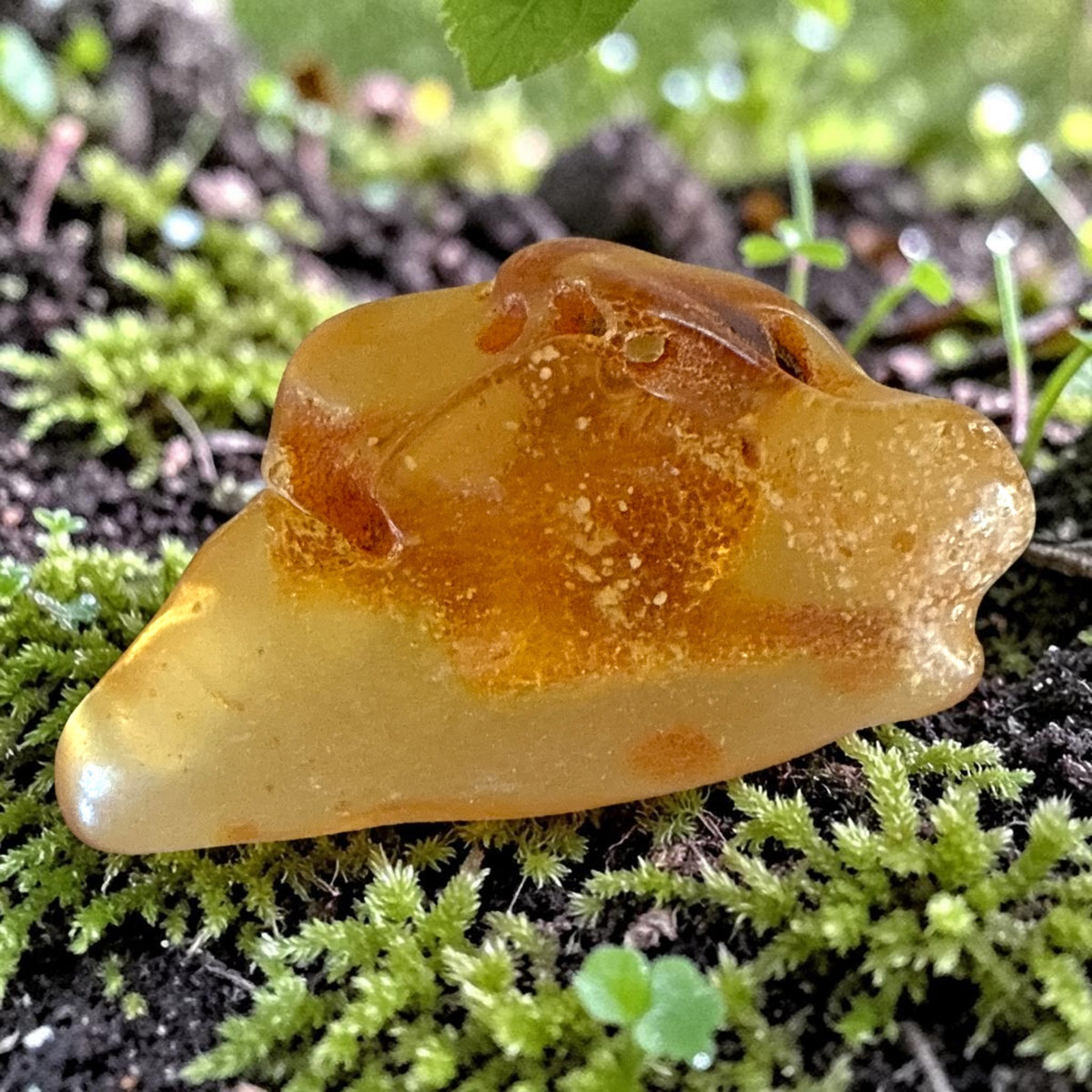 Amber Freeform - Colombia, 10.7g