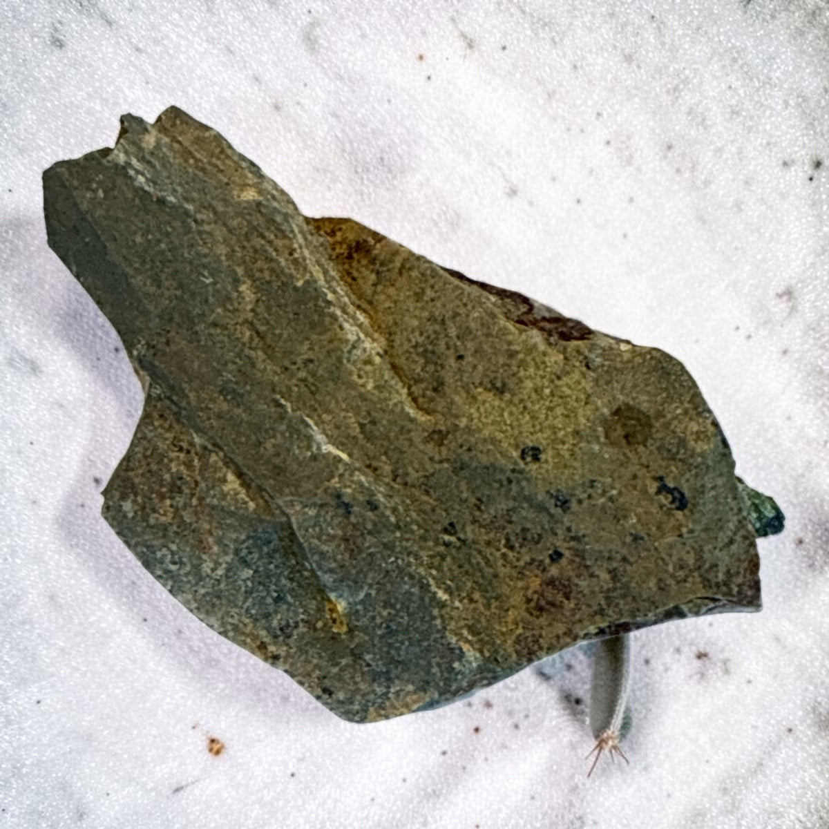 Epidote Specimen - Morocco, 27.8g