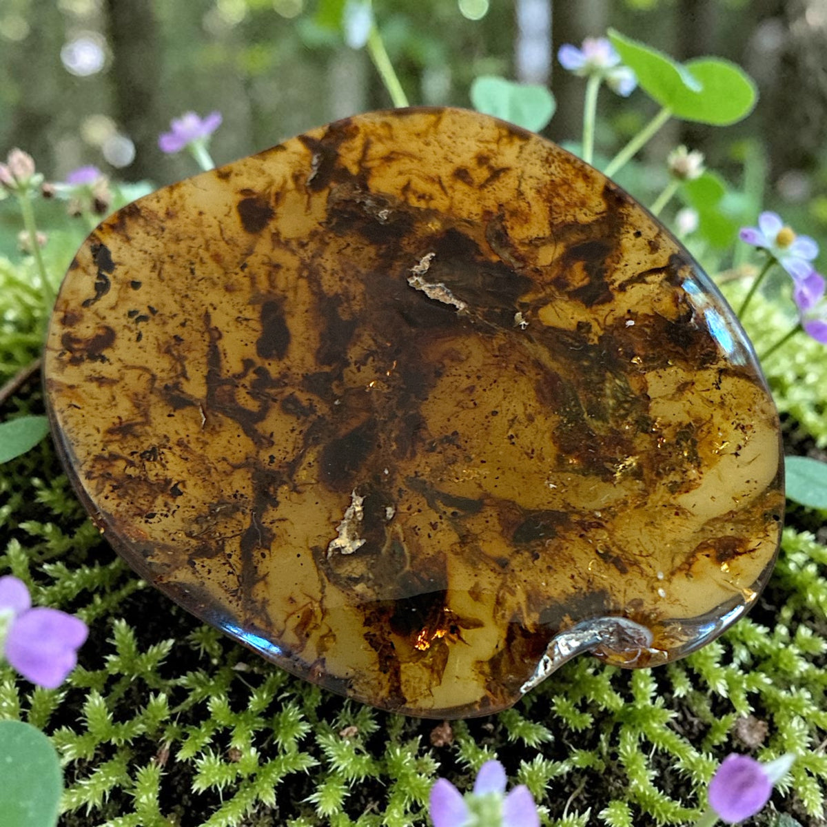Amber Freeform - Simojovel, Chiapas, Mx, 13.7g