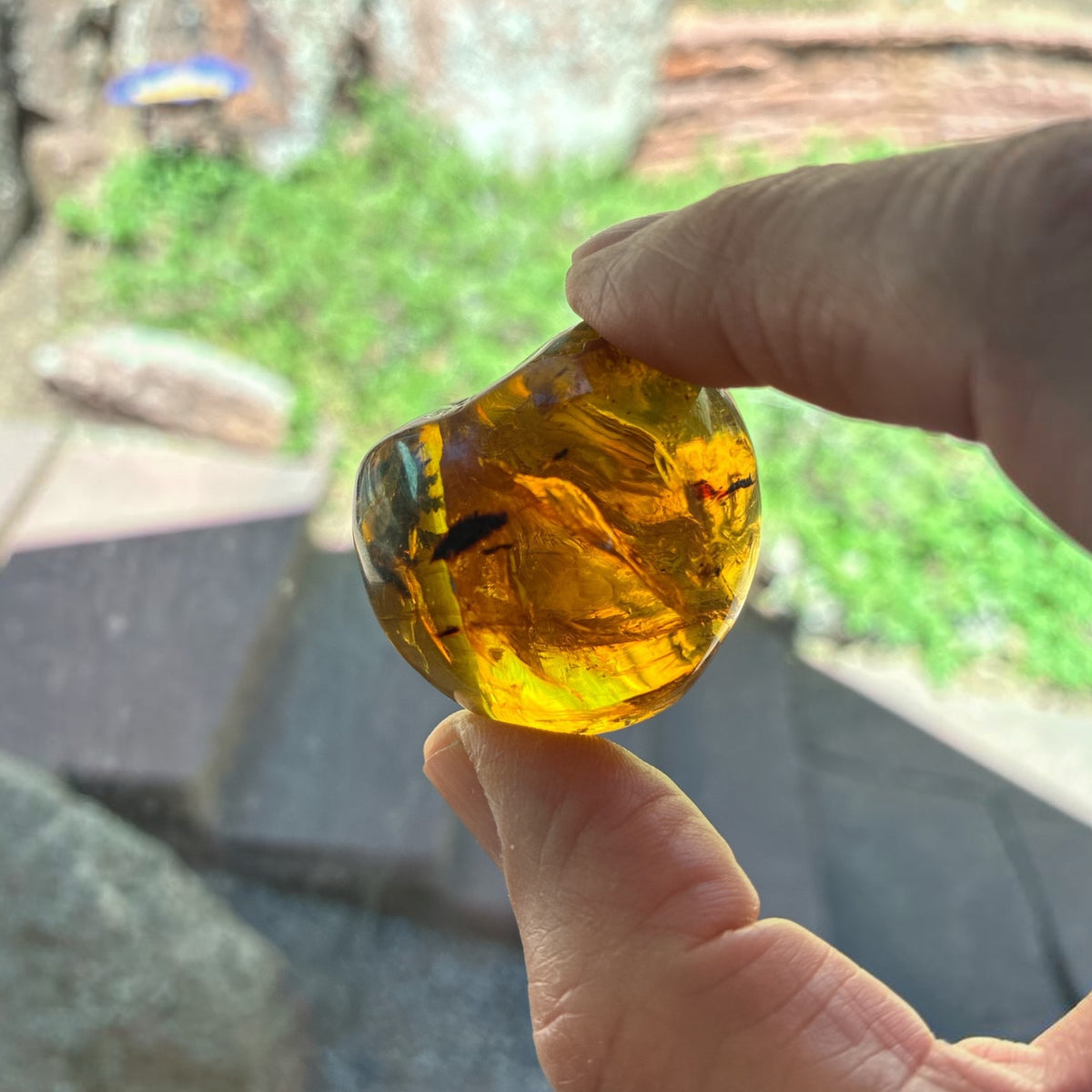 Amber Freeform - Simojovel, Chiapas, Mx, 20.5g