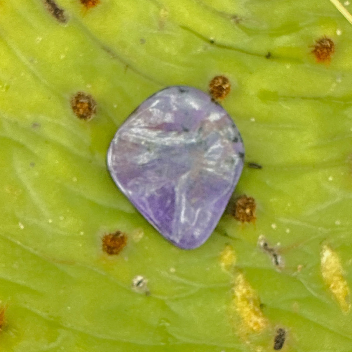 Sugilite Cabochon - South Africa, 3.5g