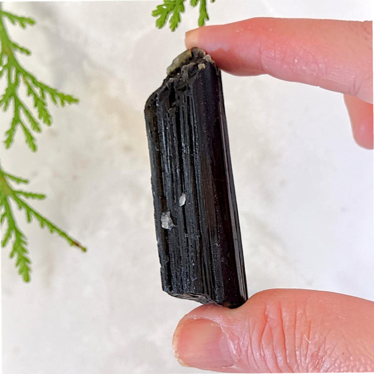 Dravite Tourmaline Specimen - Tanzania, 82.5g