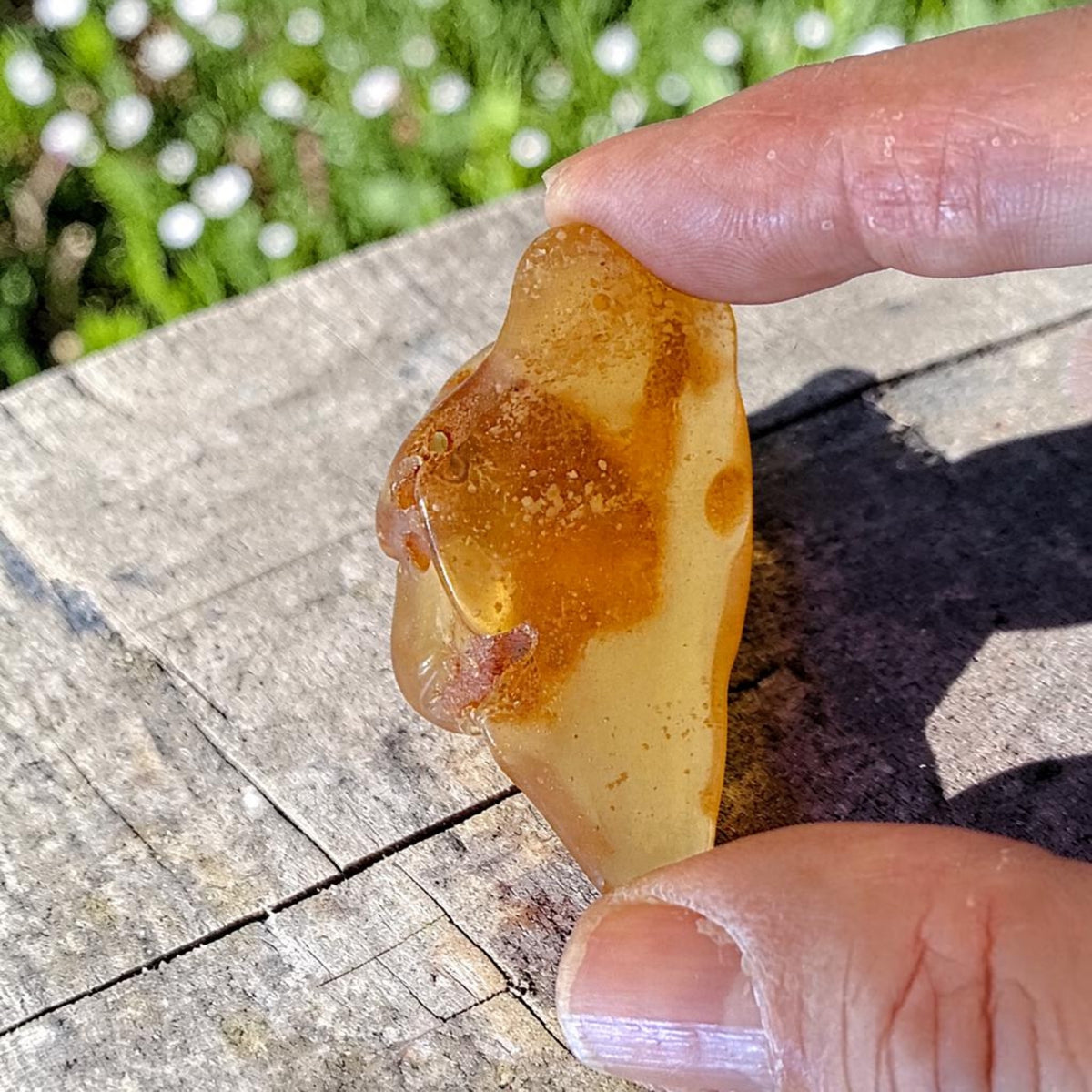 Amber Freeform - Colombia, 10.7g