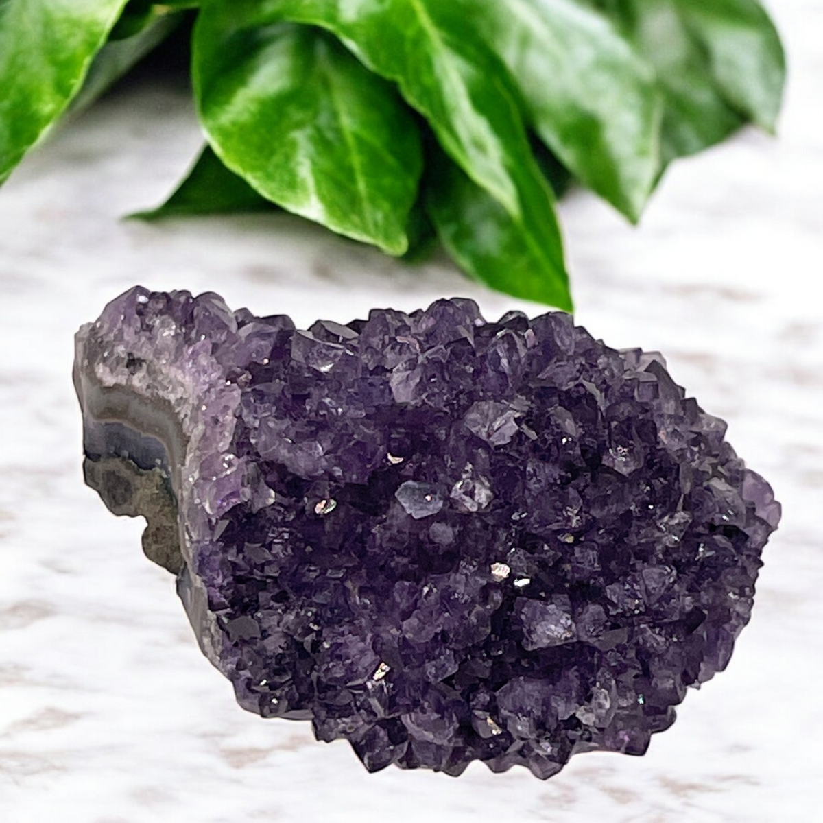 Amethyst Crystal Cluster, Uruguay, 61gr