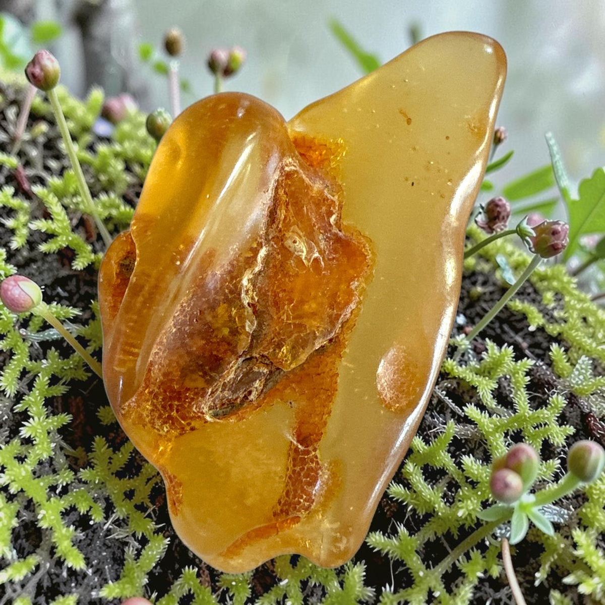 Amber Freeform - Colombia, 10.7g