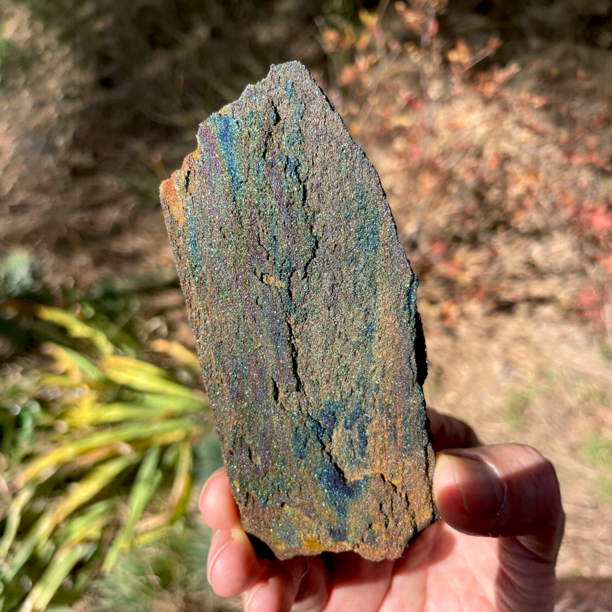 Rainbow Hematite Rough - Andrade Mine, Joao Monlevade, MG Brazil, 72.4g