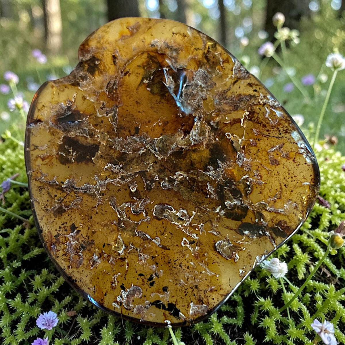 Amber Freeform - Simojovel, Chiapas, Mx, 13.7g