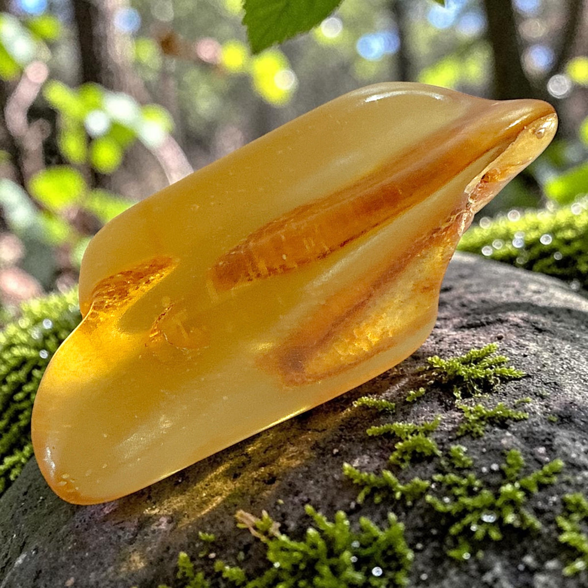 Amber Freeform - Colombia, 9.8g