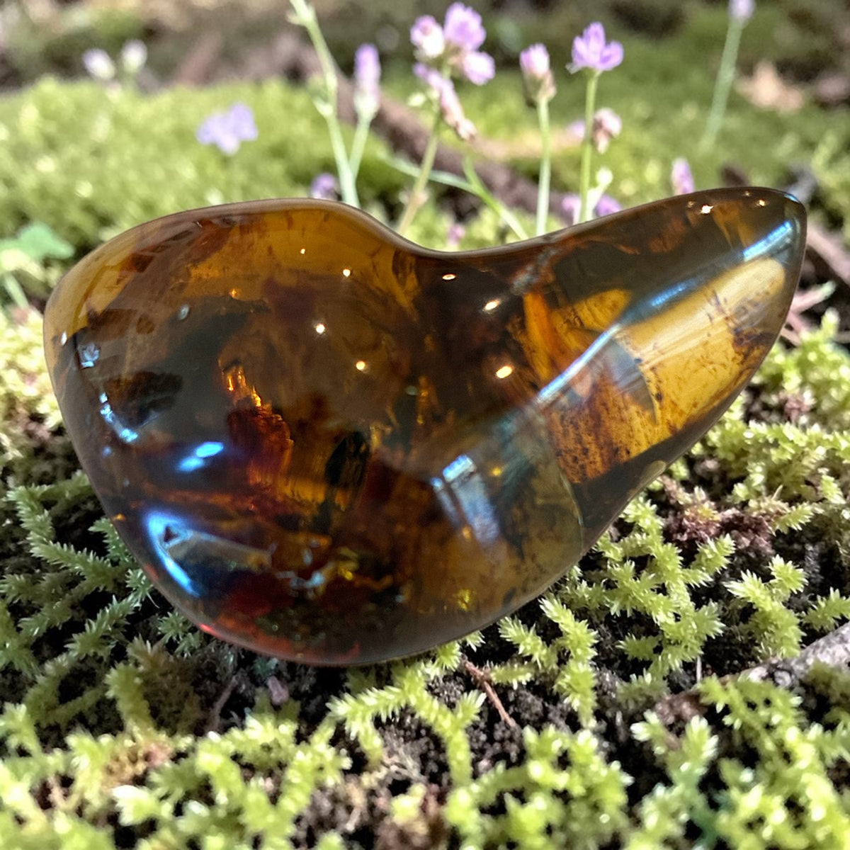 Amber Freeform - Simojovel, Chiapas, Mx, 27.4g