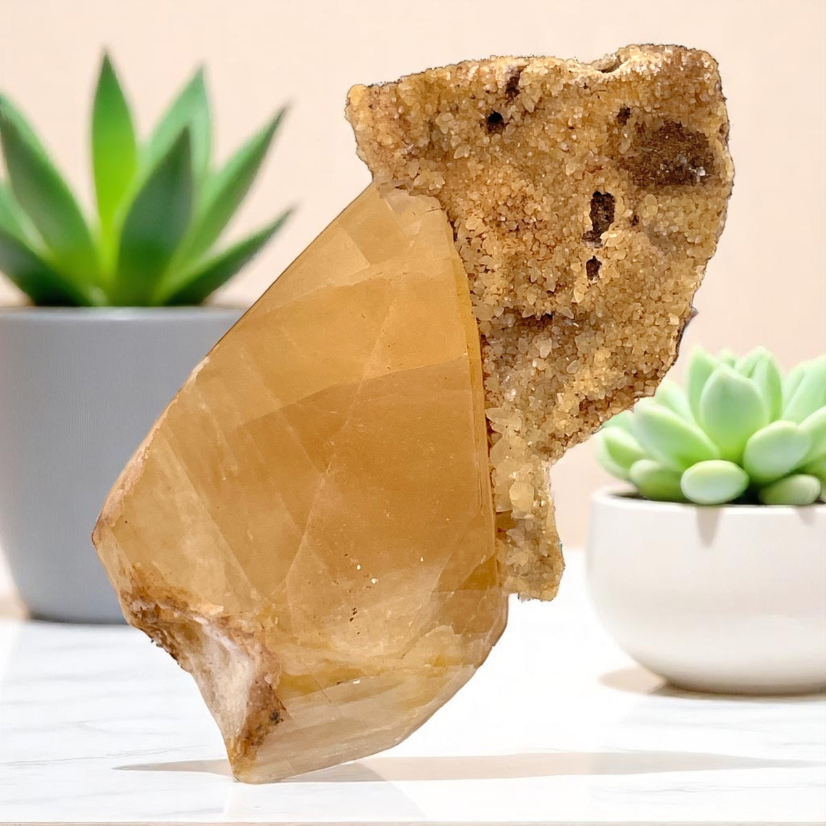 Dogtooth (Stellar Beam) Calcite Crystal Specimen - Gallatin County, MT, 369g