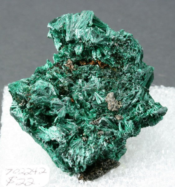 Malachite Fiberous Crystal 1.50&quot; x 1.75&quot; x 1.00&quot;