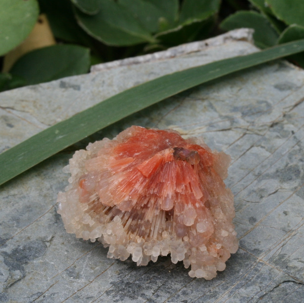 Red Scolecite with Chalcedony, 11.0g