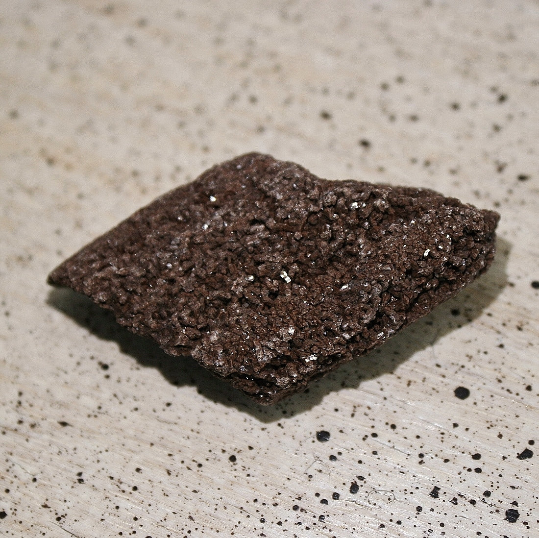 ONE Premineralized Wood, Drusy Specimens from Germany