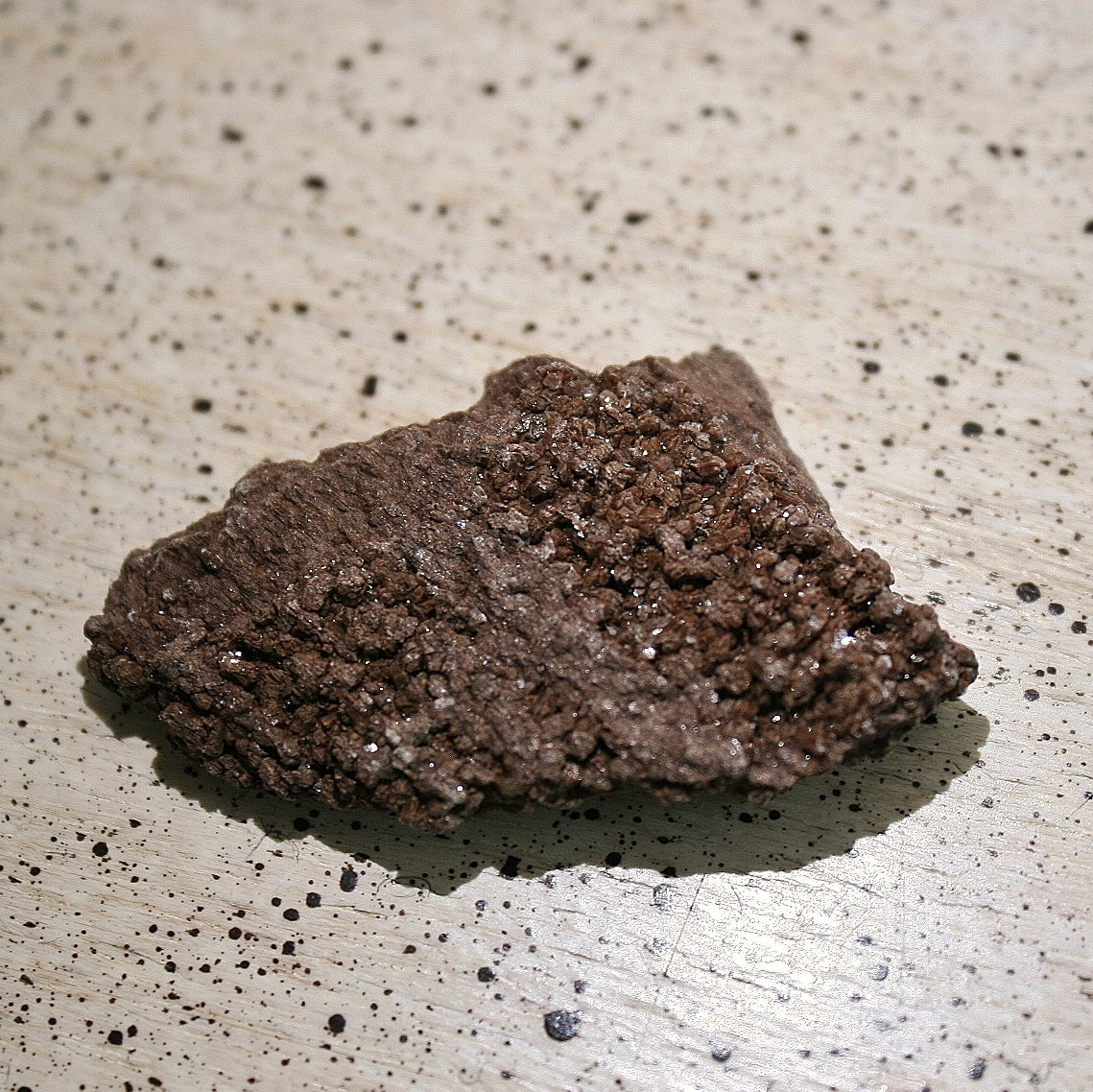 ONE Premineralized Wood, Drusy Specimens from Germany