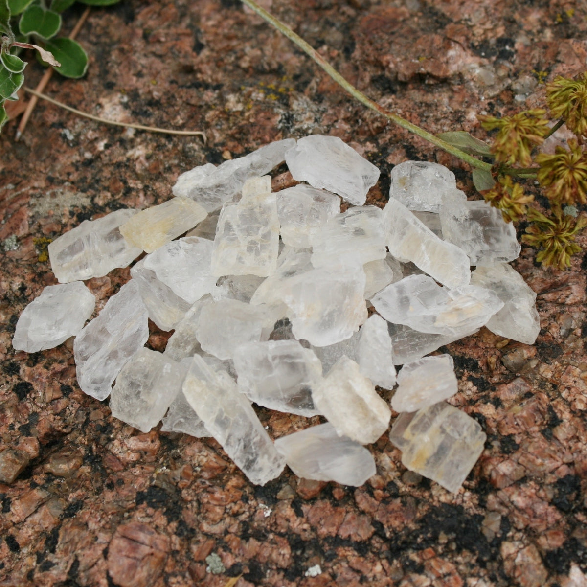 ONE Petalite Rough from Brazil, 2.4 - 4.0 grams each