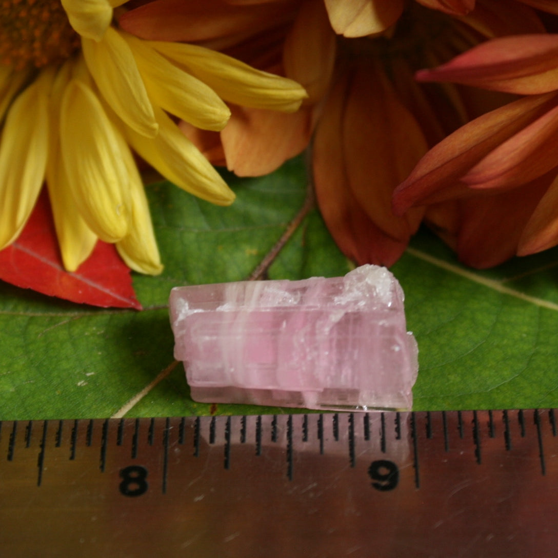Baby Pink Tourmaline Crystal Specimen from Afghanistan, 8.8 grams