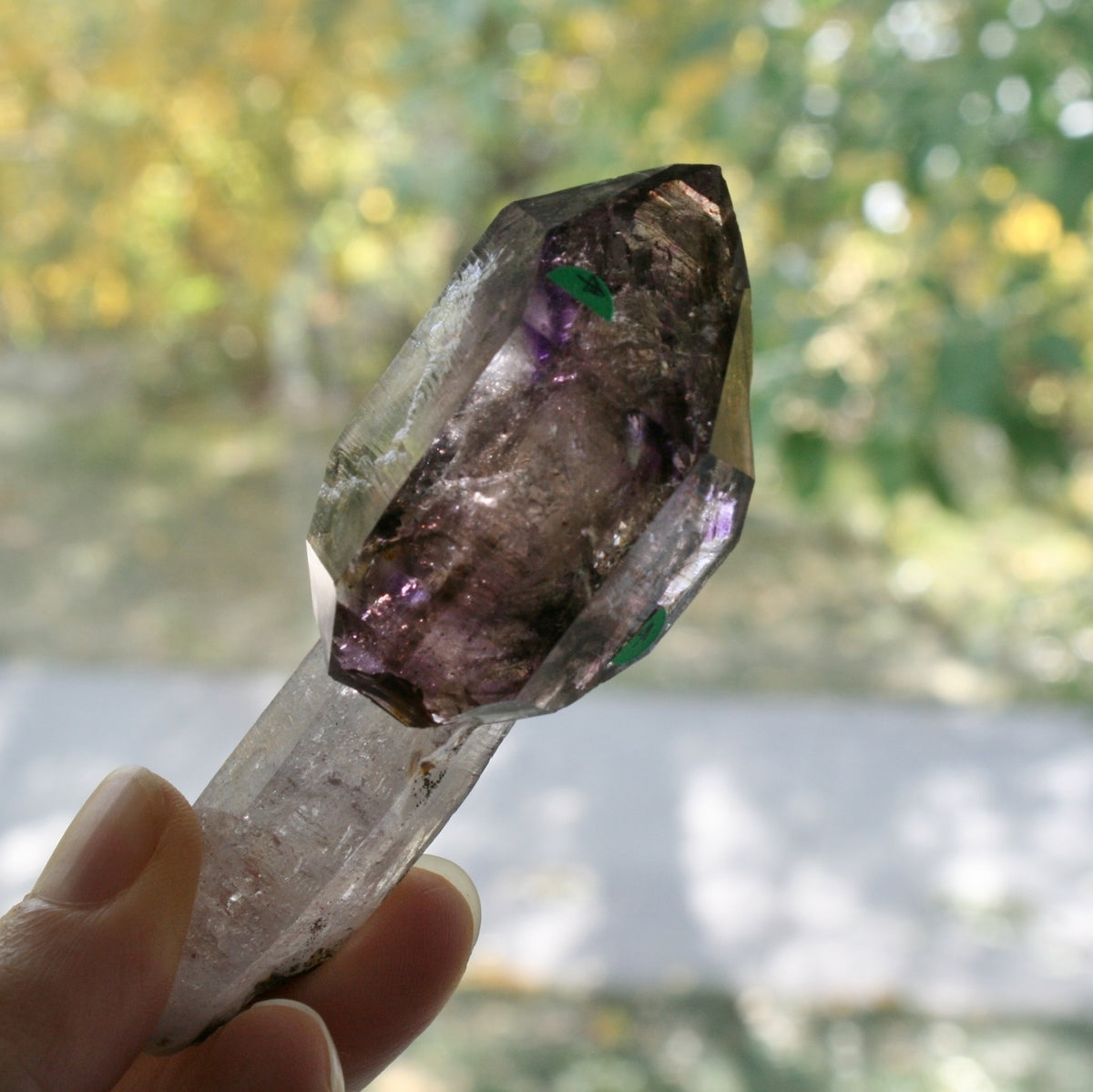 Smoky Quartz/Amethyst Scepter with 2 Enhydros, Lepidachrosite &amp; Hematite, from Lusaka Zambia, 78.6 grams