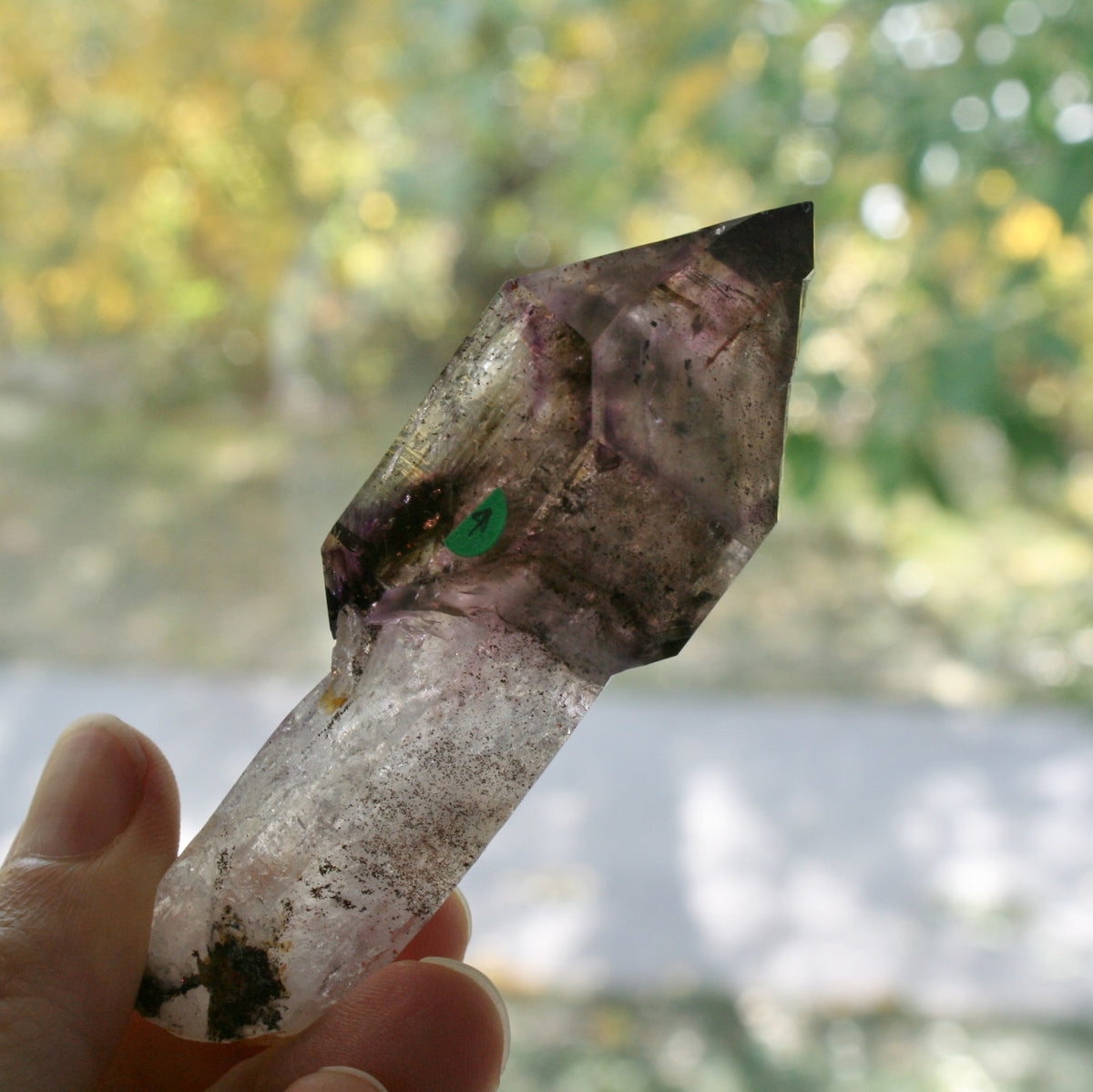 Smoky Quartz/Amethyst Scepter with 2 Enhydros, Lepidachrosite &amp; Hematite, from Lusaka Zambia, 78.6 grams