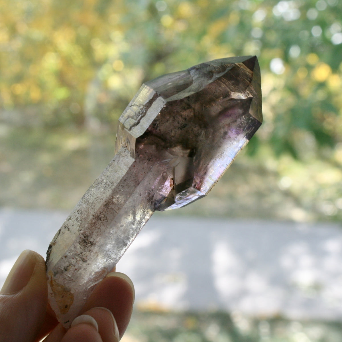 Smoky Quartz/Amethyst Scepter with 2 Enhydros, Lepidachrosite & Hematite, from Lusaka Zambia, 78.6 grams