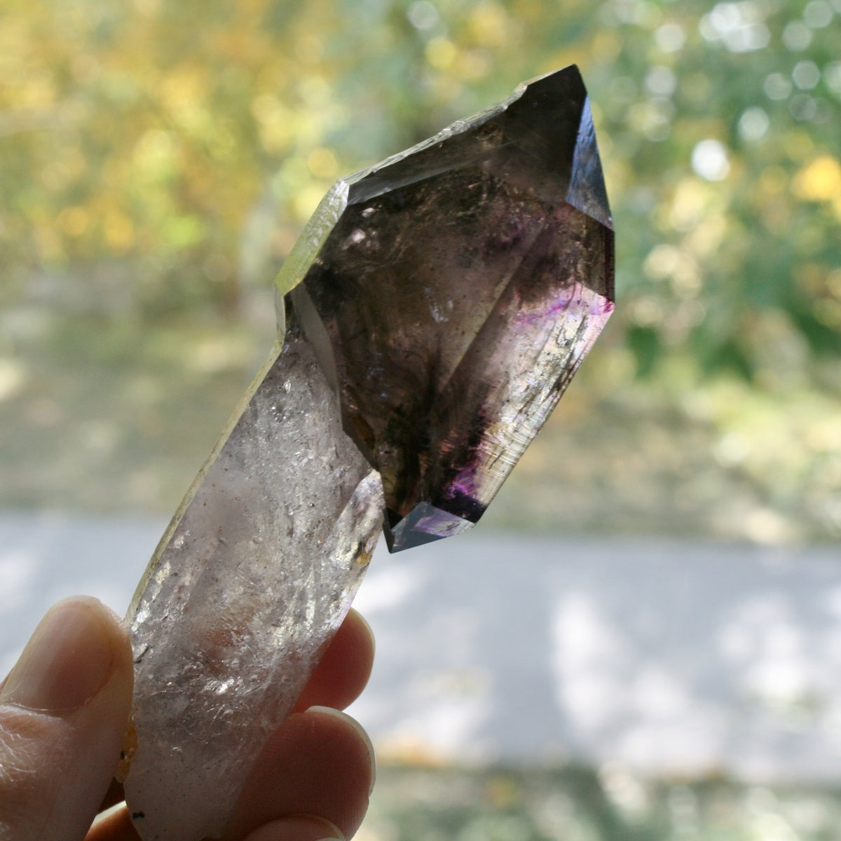 Smoky Quartz/Amethyst Scepter with 2 Enhydros, Lepidachrosite &amp; Hematite, from Lusaka Zambia, 78.6 grams