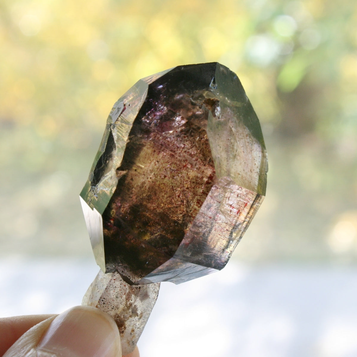 Smoky Quartz/Amethyst Scepter with 1 Enhydros, Lepidachrosite & Hematite, from Lusaka, Zambia, 46.2 grams