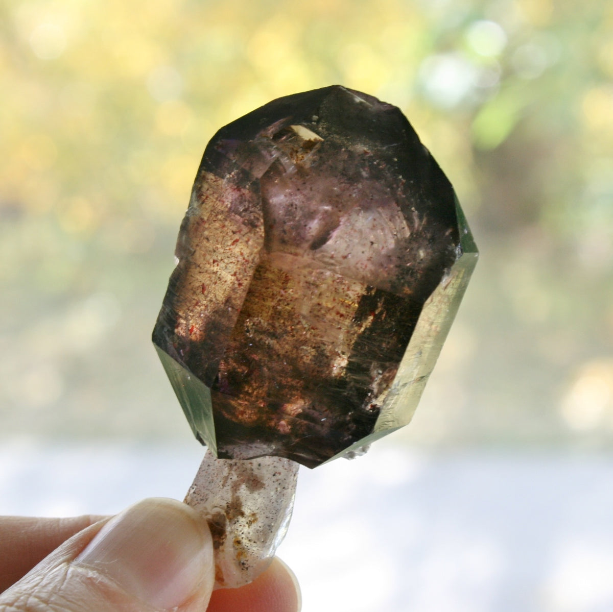 Smoky Quartz/Amethyst Scepter with 1 Enhydros, Lepidachrosite & Hematite, from Lusaka, Zambia, 46.2 grams