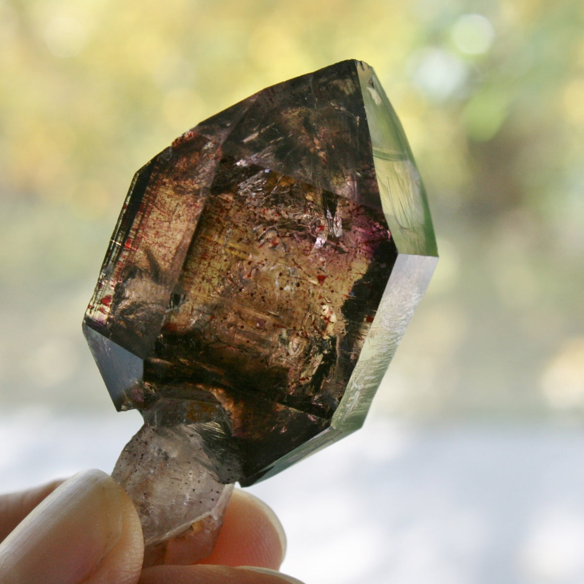 Smoky Quartz/Amethyst Scepter with 1 Enhydros, Lepidachrosite & Hematite, from Lusaka, Zambia, 46.2 grams