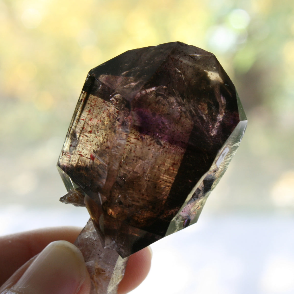 Smoky Quartz/Amethyst Scepter with 1 Enhydros, Lepidachrosite & Hematite, from Lusaka, Zambia, 46.2 grams