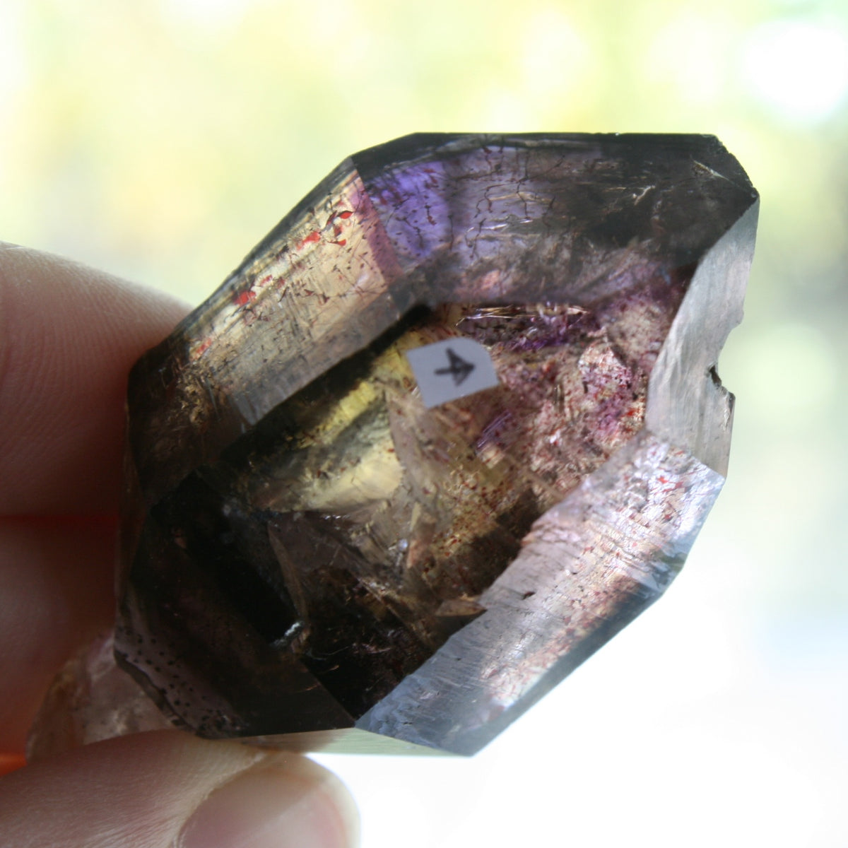 Smoky Quartz/Amethyst Scepter with 1 Enhydros, Lepidachrosite & Hematite, from Lusaka, Zambia, 46.2 grams