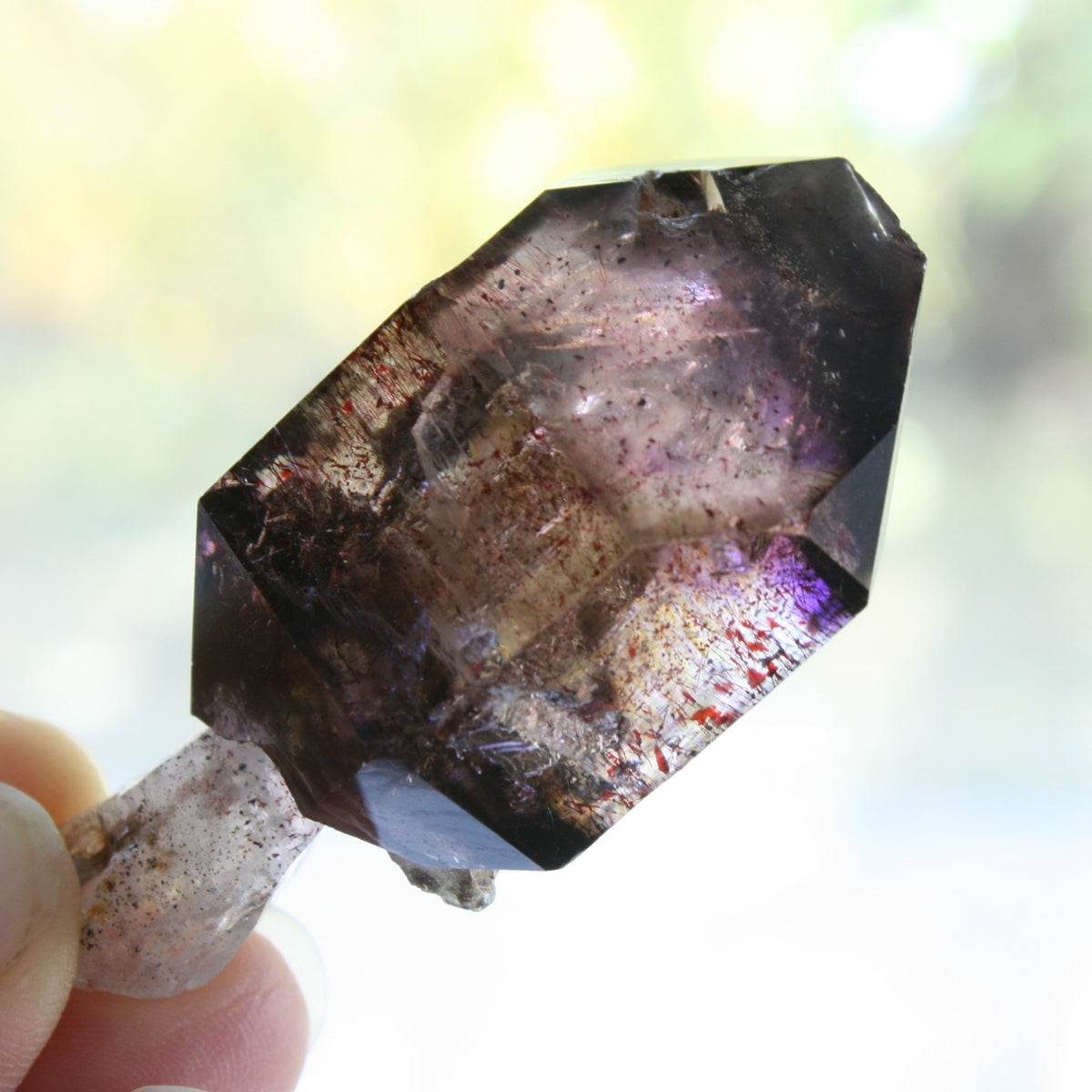 Smoky Quartz/Amethyst Scepter with 1 Enhydros, Lepidachrosite & Hematite, from Lusaka, Zambia, 46.2 grams