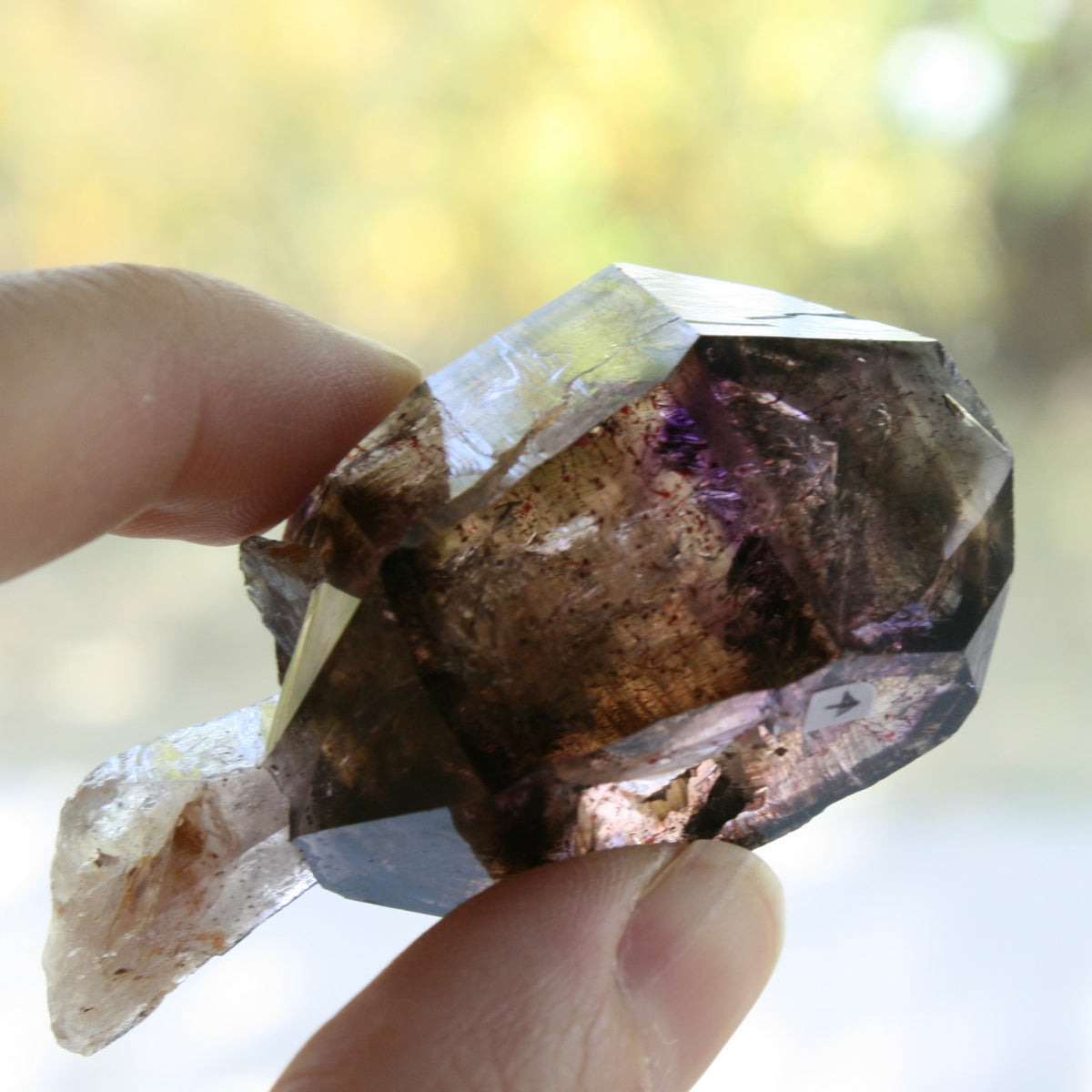 Smoky Quartz/Amethyst Scepter with 1 Enhydros, Lepidachrosite & Hematite, from Lusaka, Zambia, 46.2 grams
