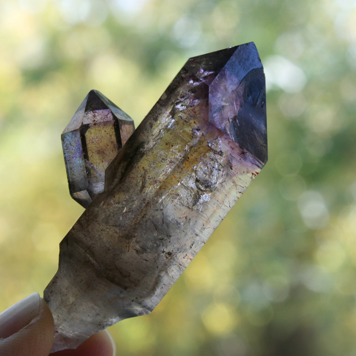 Smoky Quartz/Amethyst Scepter with Lepidachrosite &amp; Hematite, from Lusaka, Zambia, 37 grams