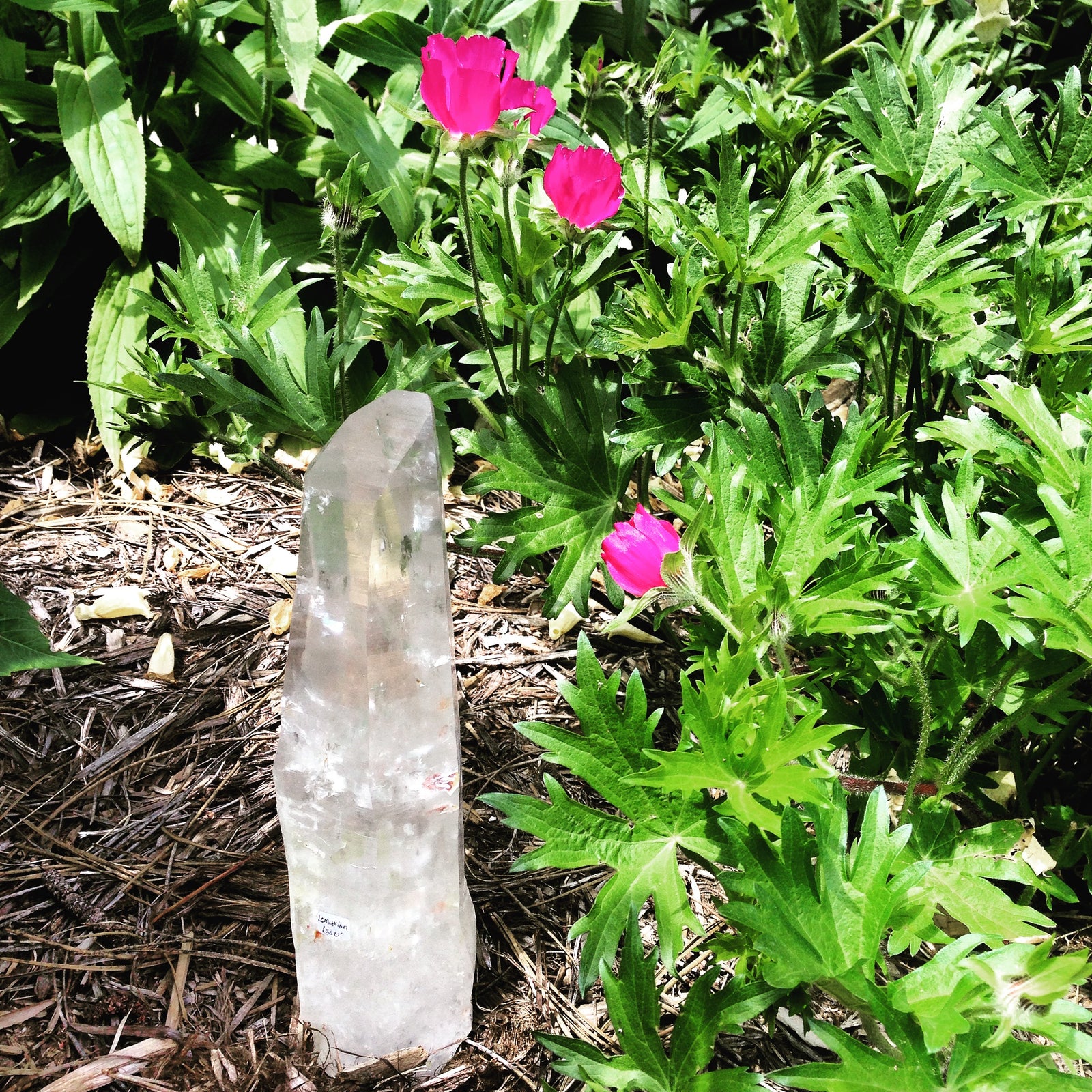 Lemurian Lasers