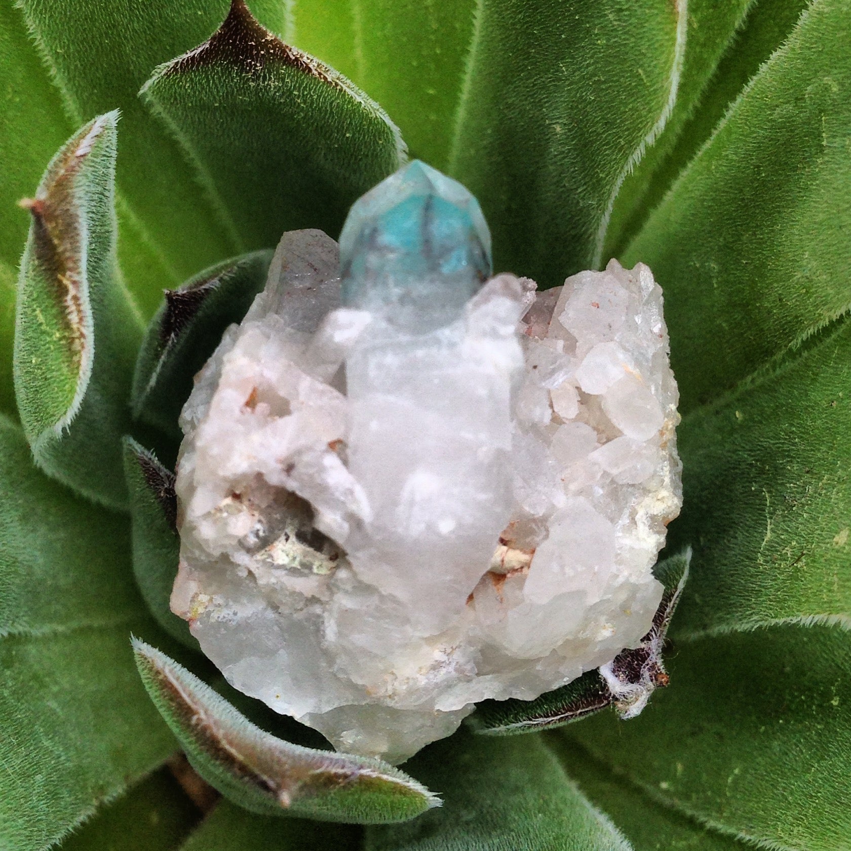 Ajoite and Papagoite Phantoms in Quartz