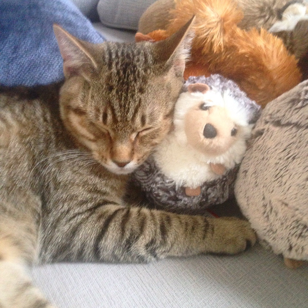 How Does Hands of Spirit Give Back?