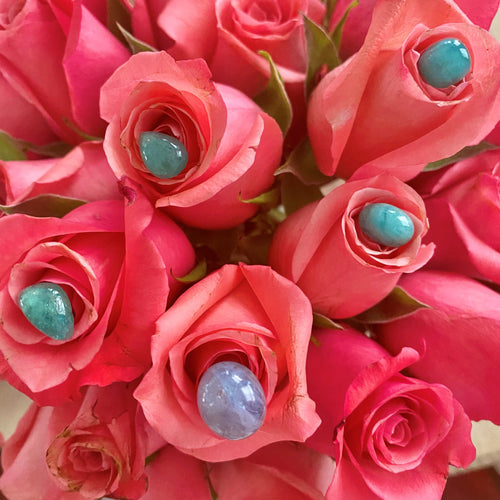 Live Sale instructions for Instagram? Here's all you need to know!