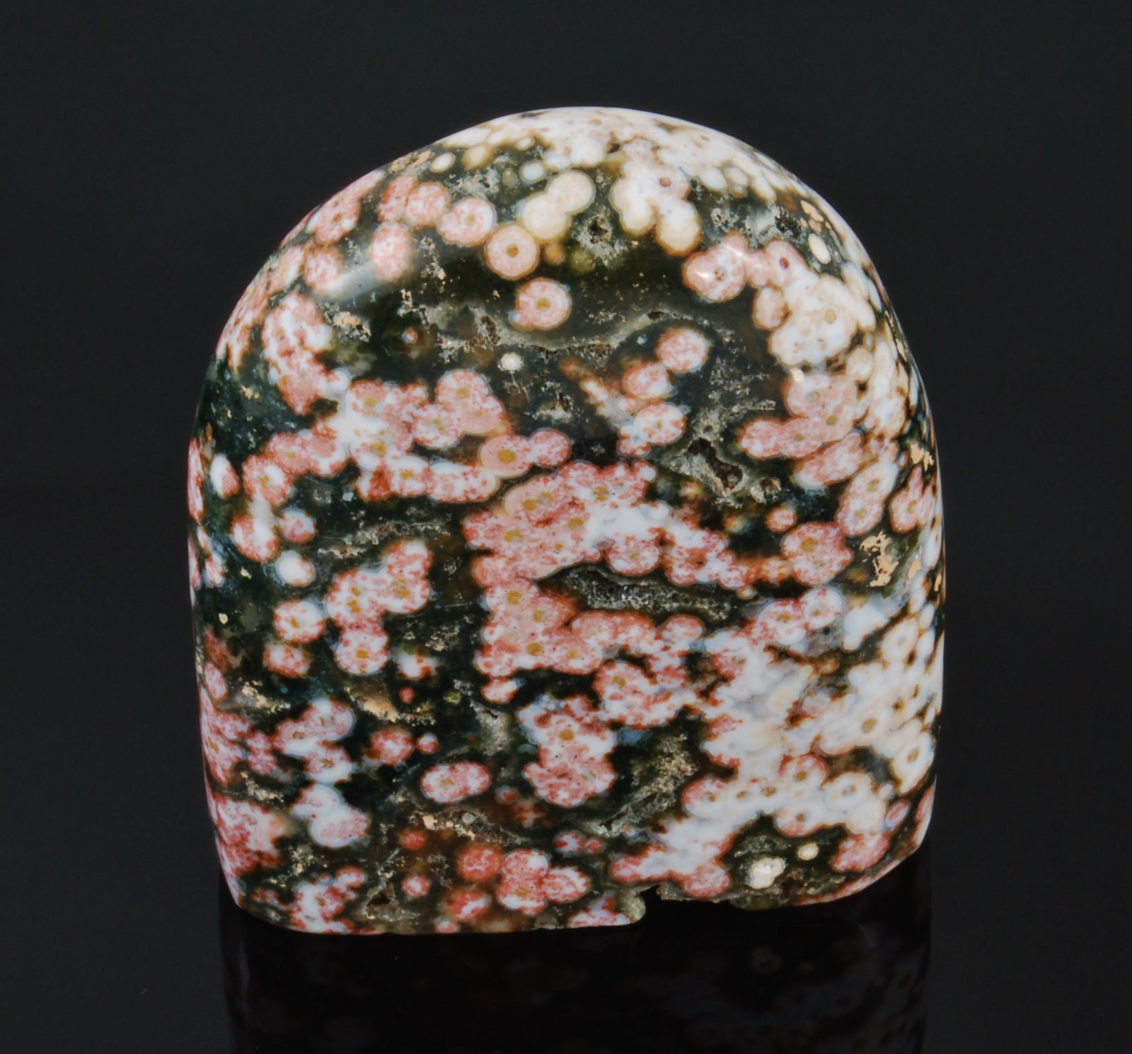Orbicular Ocean Jasper