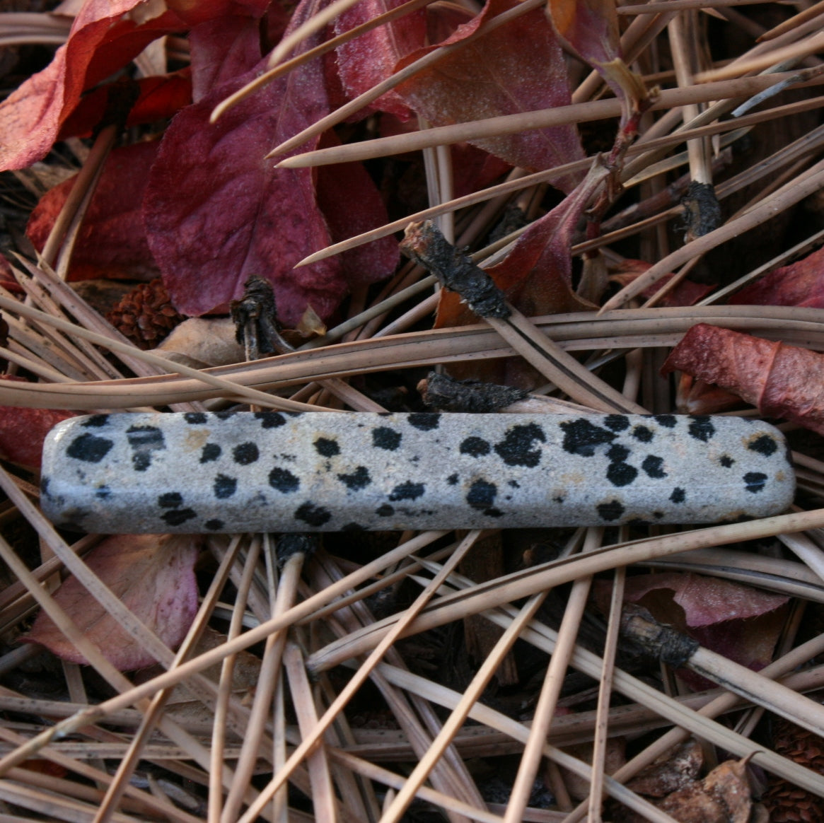 Dalmatian Stone