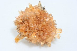 Creedite