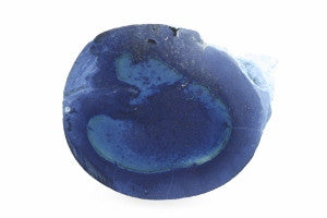 Vivianite