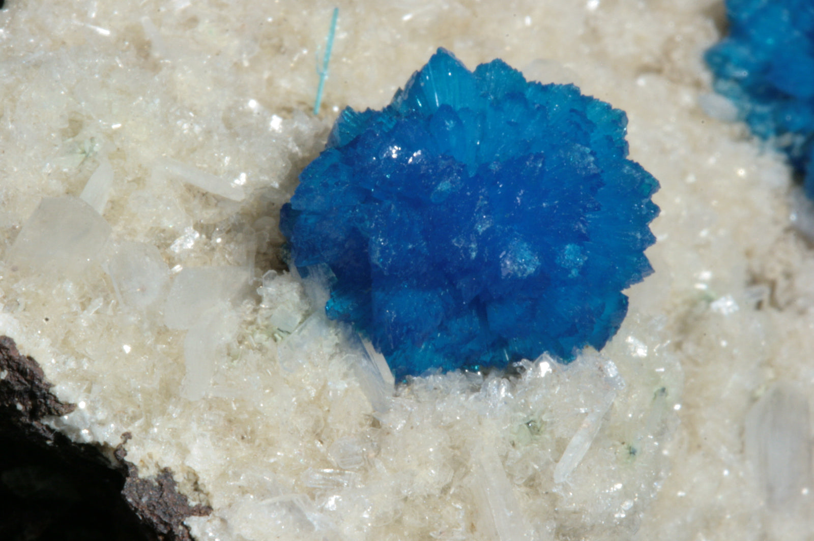 Cavansite