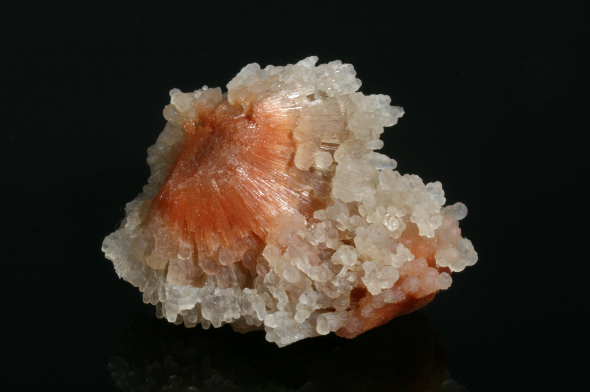 Scolecite