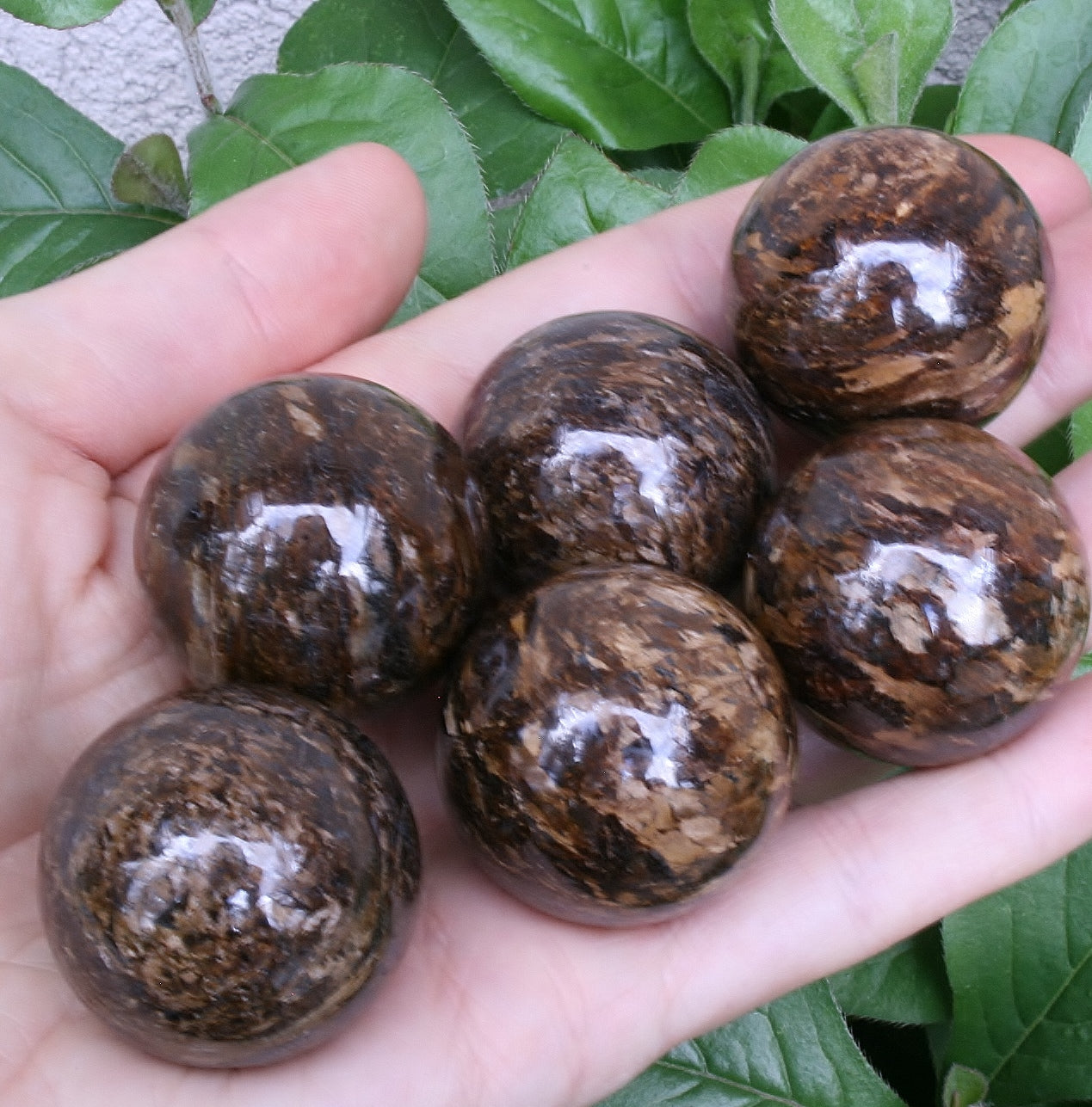Bronzite