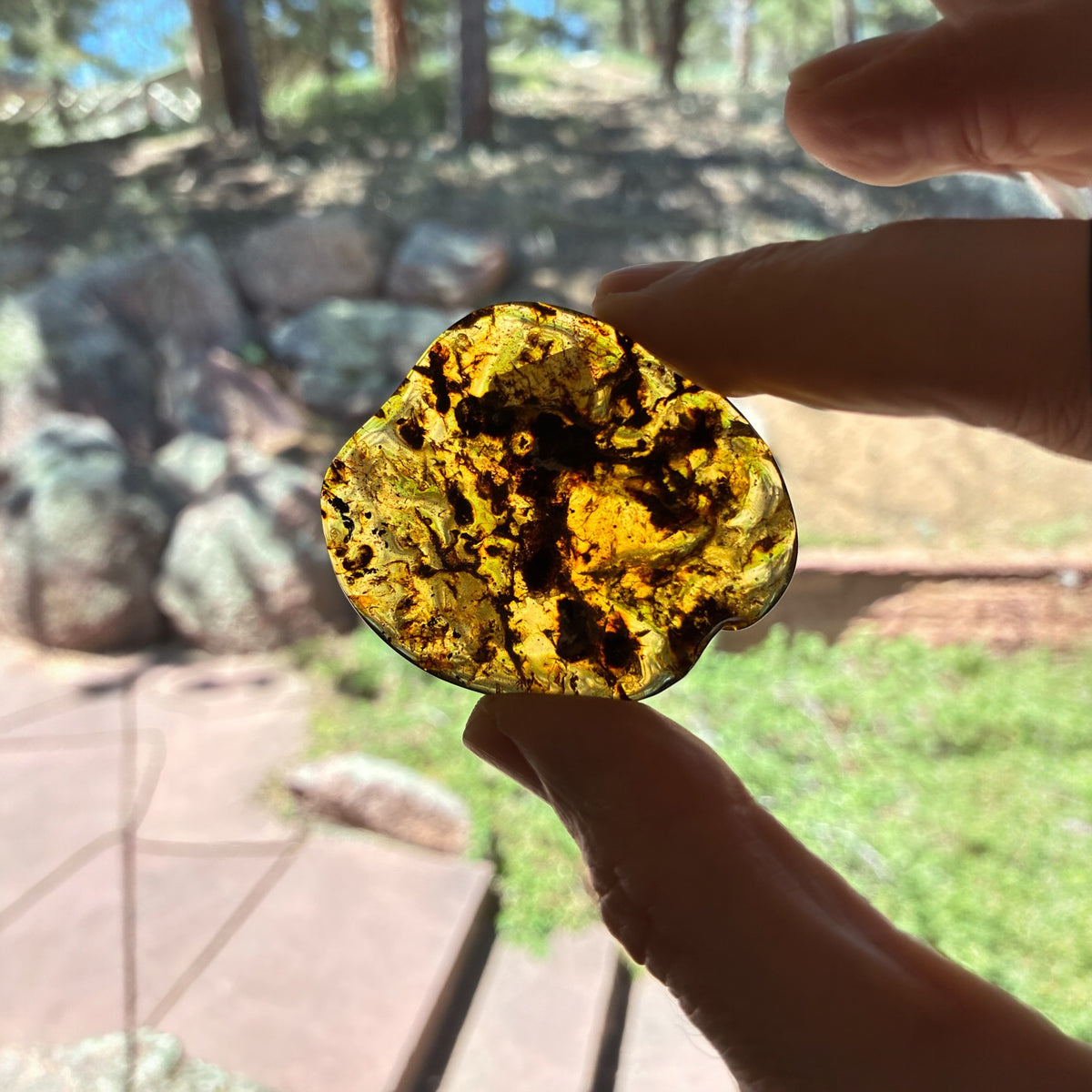 Amber Freeform - Simojovel, Chiapas, Mx, 13.7g