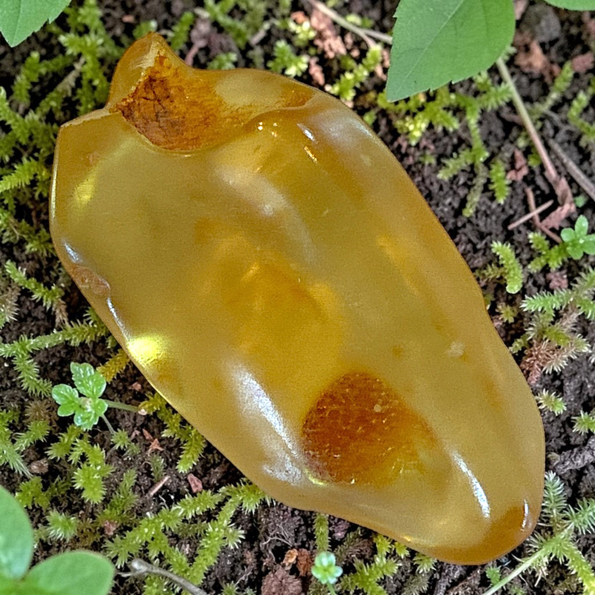 Amber Freeform -Columbia, 6.6g