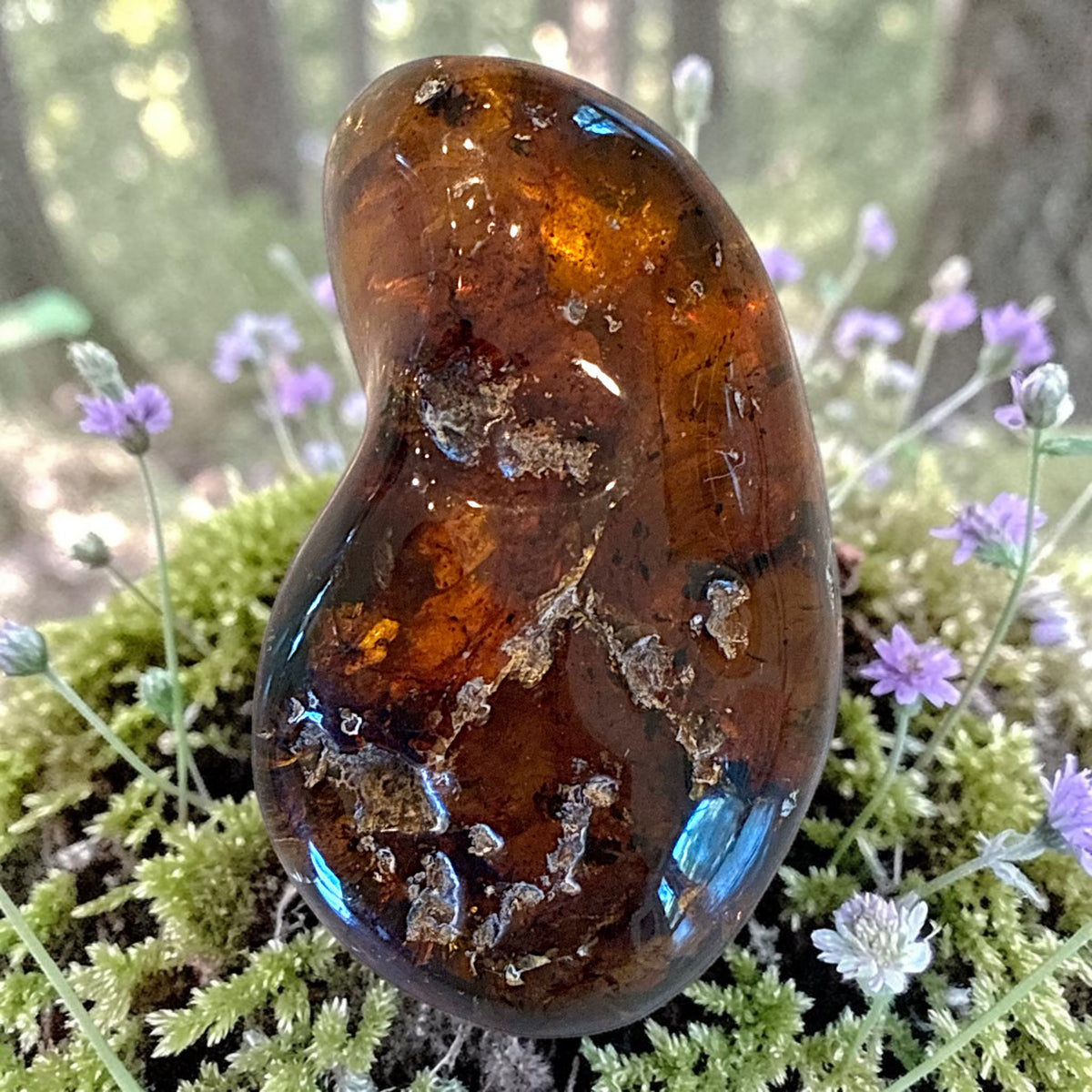 Amber Freeform - Simojovel, Chiapas, Mx, 34g