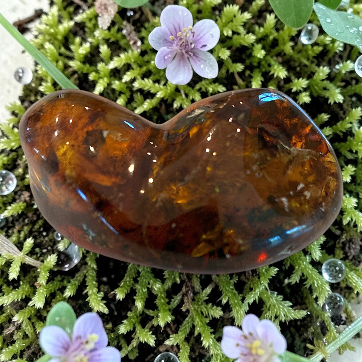 Amber Freeform - Simojovel, Chiapas, Mx, 34g